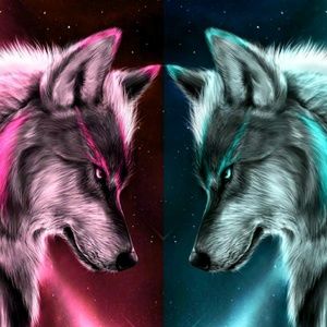 Meet your Posher, Jude